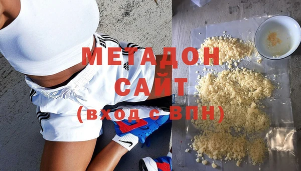 индика Горняк