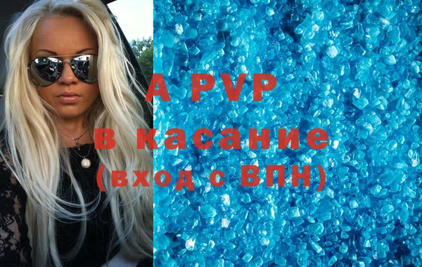 индика Горняк