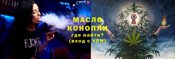 индика Горняк