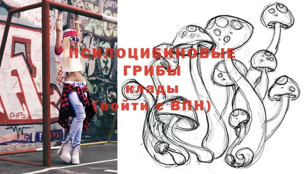тгк Горнозаводск