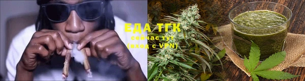 индика Горняк