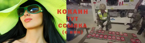 ALPHA PVP Горно-Алтайск