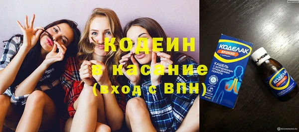 индика Горняк
