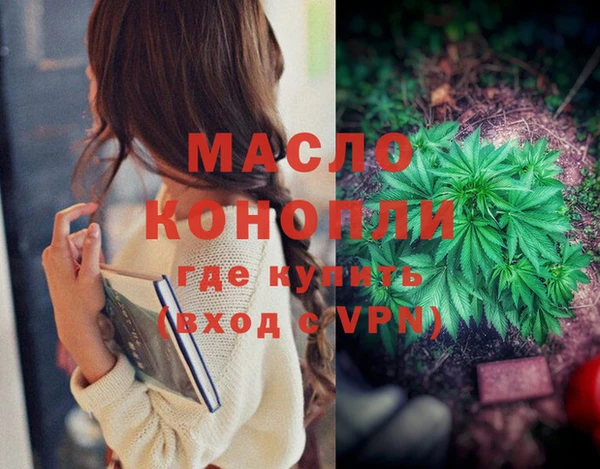 индика Горняк