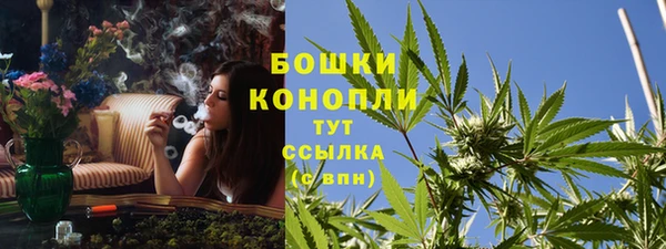 тгк Горнозаводск
