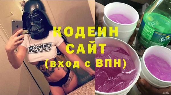 индика Горняк