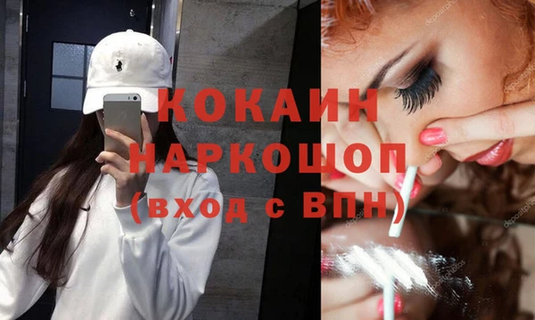 индика Горняк