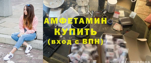 mdpv Вяземский