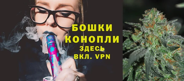 индика Горняк
