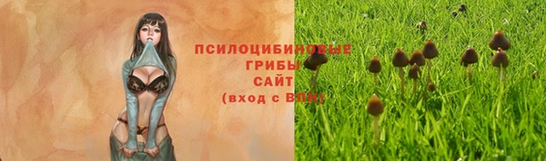 индика Горняк