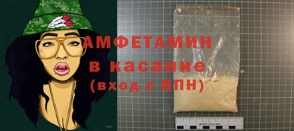 индика Горняк
